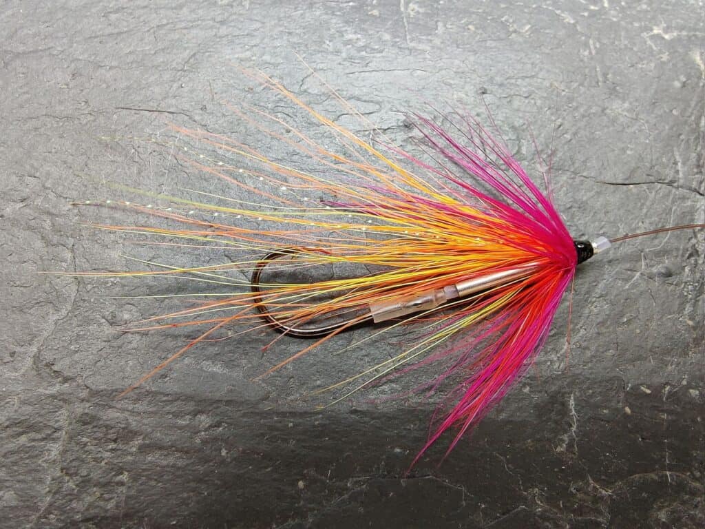 Coy Shrimp Tube Fly