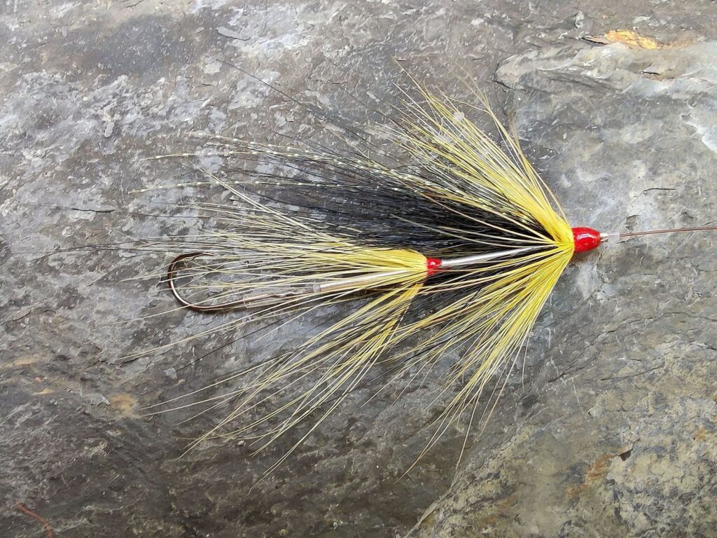 Sea Trout Intruder Tube Fly Black and Yellow