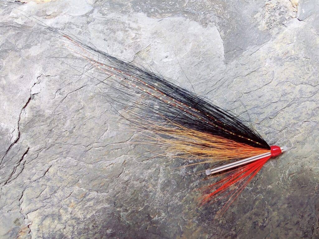 Sunburst Blackback Tube Fly