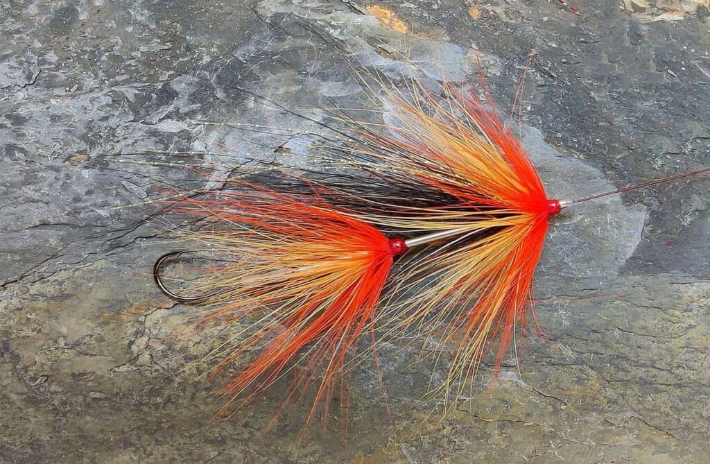 Cascade Intruder Fly