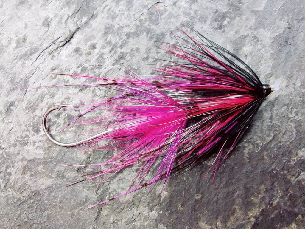 Black & Pink Intruder Tube Fly