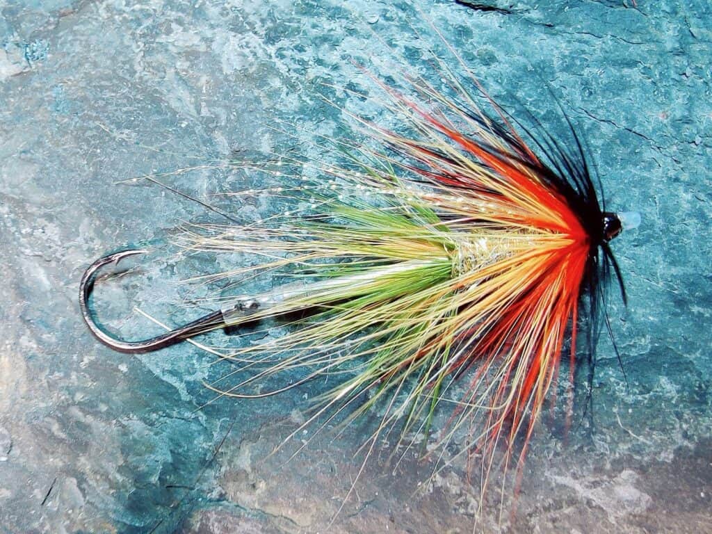 Black Hackle Intruder Tube Fly