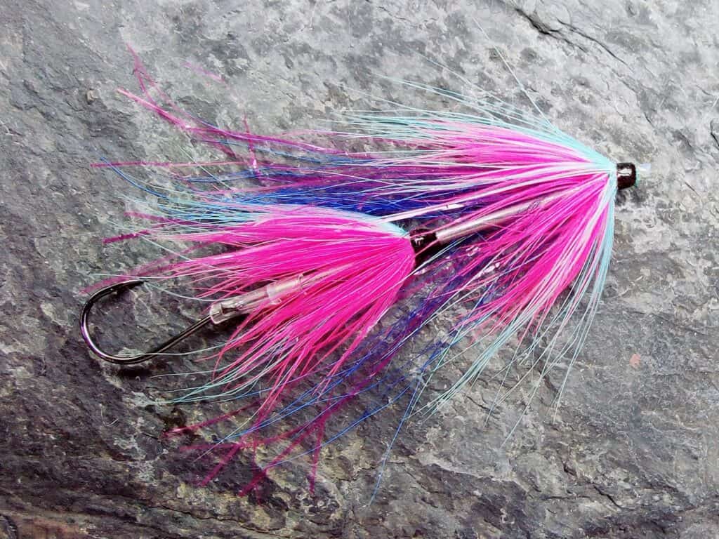 Pink & Blue Needle Tube Intruder Fly